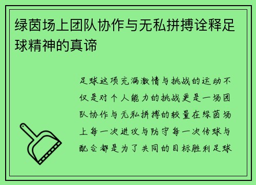 绿茵场上团队协作与无私拼搏诠释足球精神的真谛